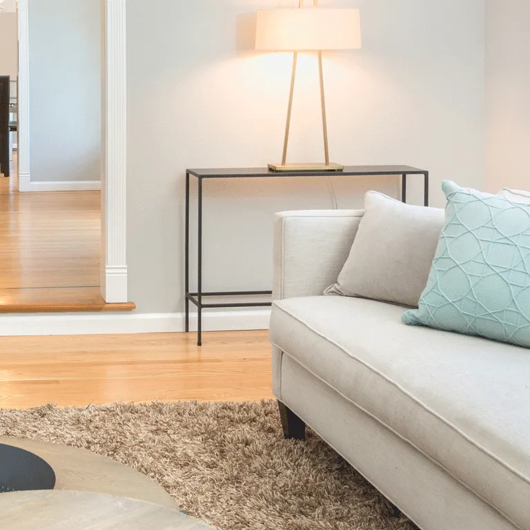 Modern suburban living room