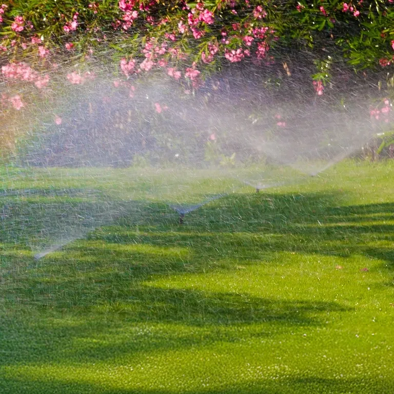 Freshly cut lawn with lawn sprinklers