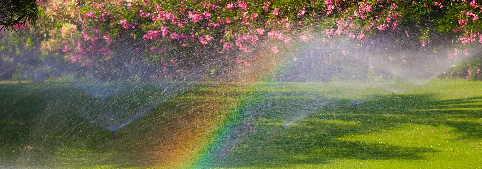 Freshly cut lawn with lawn sprinklers
