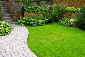 Lawn Care FAQ's in your area