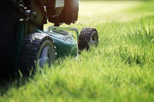 How to properly mow your lawn in Orlando and Kissimmee FL. Heron Home & Outdoor