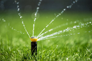 How to properly water your lawn in your area