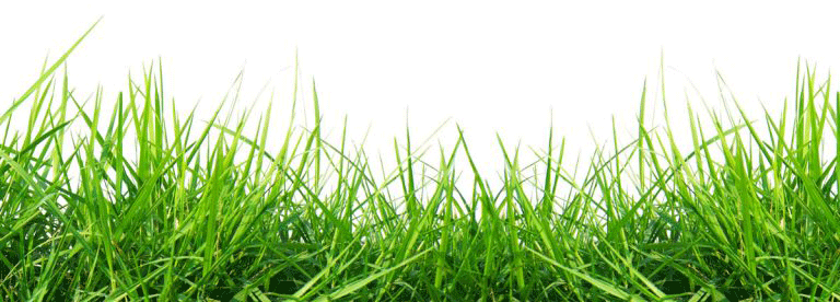 Lawn services in Central FL - Heron Home & Outdoor