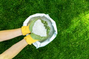 Lawn fertilization services in Apopka and Central Florida - Heron Home & Outdoor
