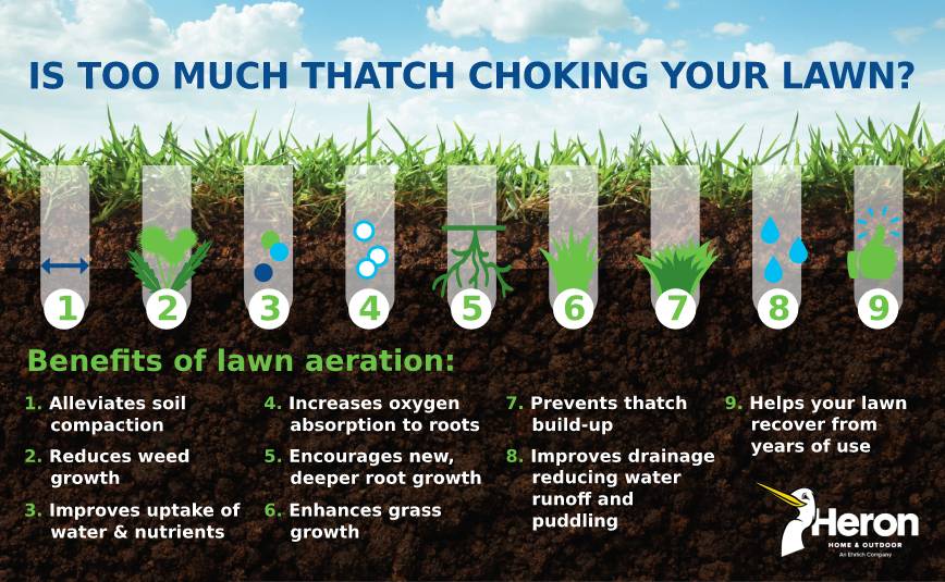 Thatch choking lawns in Central FL - Heron Home & Outdoor