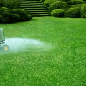 Lawn fertilizer being spread on a lush green lawn