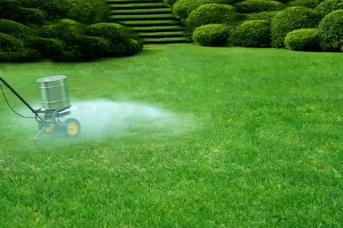 Lawn fertilizer being spread on a lush green lawn