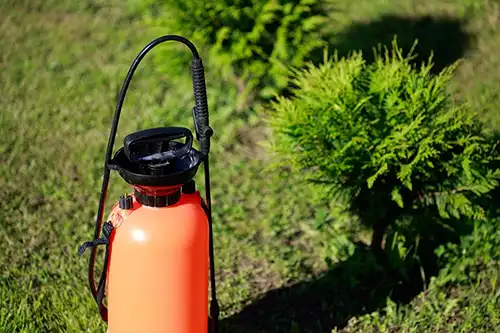What is the best type of weed killer for Florida lawns in Altamonte Springs FL