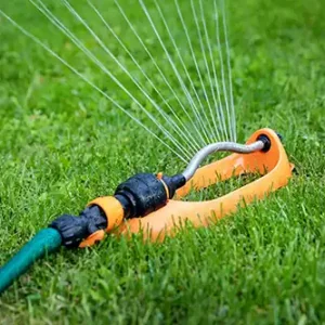 Should I water my lawn each day in Altamonte Springs FL