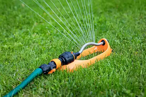 Should I water my lawn each day in Altamonte Springs FL