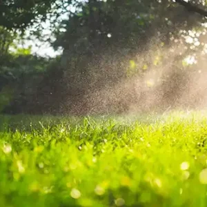 green-lawn-with-morning-dew How can I tell if I am overwatering my lawn in Altamonte Springs FL