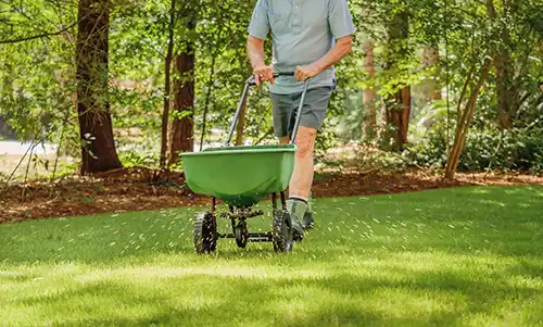 Is it okay to fertilize and seed at the same time in Altamonte Springs FL