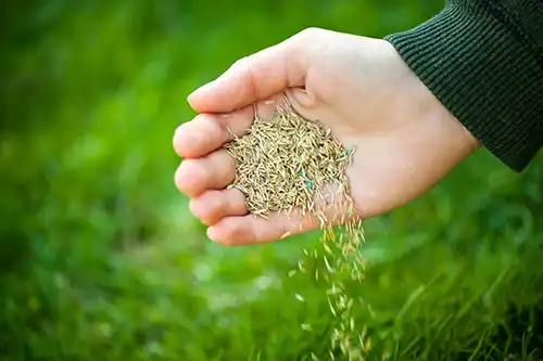pest-fertilizer How to Take Care of Your Lawn’s Soil in Altamonte Springs FL