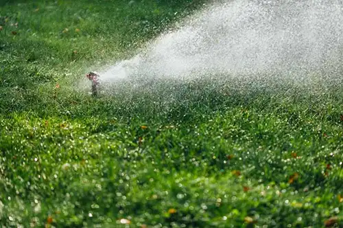 How should I adjust my watering schedule in the summer in Altamonte Springs FL