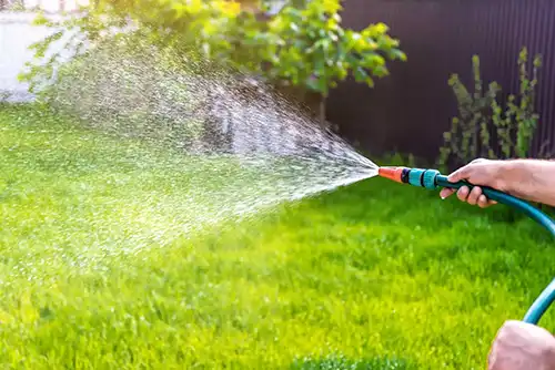 How to Water Your Lawn in Altamonte Springs FL