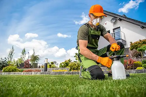 When should I apply a fungicide to my lawn in Altamonte Springs FL