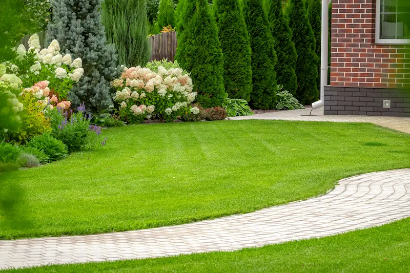 Lawn Care 101 for New Homeowners in your area