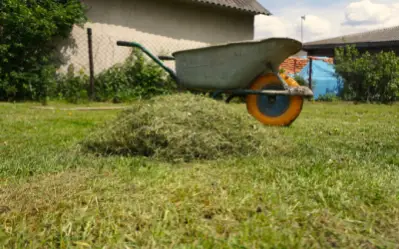 grass clippings on lawn with wheelbarrow in front of florida home