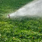 Close-up of an active sprinkler emitting a wide, heavy spray of water to hydrate a bright green lawn.