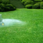 A metal lawn spreader spraying a fine mist over a green lawn to water in and dissolve fertilizer.