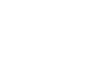 spray bottle icon
