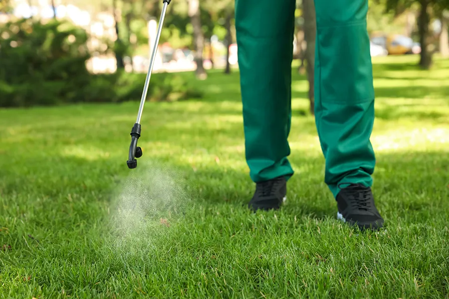 A professional lawn care worker wearing green pants applying liquid pest control spray to a grassy area using a wand sprayer.