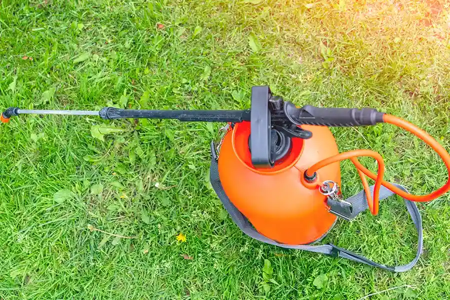An orange pump garden sprayer resting on a green lawn, ready to be used for applying liquid lawn care treatments.
