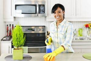 How to manage a cockroach infestation by Heron Home & Outdoor - serving Orlando, Apopka, Oviedo, Leesburg, Sanford, Kissimmee, and Central FL areas
