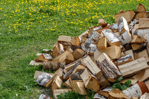 can-i-get-rid-of-termites-myself Heron provides professional termite control in central FL.