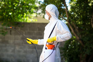 Heron provides a number of effective termite treatments to central Florida residents.
