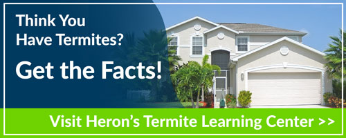 Termite Learning Center - Information about Termites in Florida provided by Heron Home & Outdoor in Orlando Kissimmee Apopka Leesburg FL