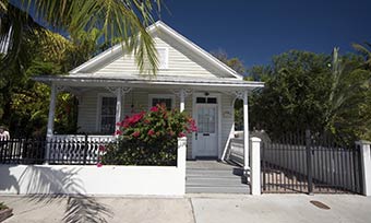 should you buy a house with termites