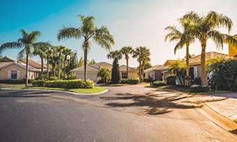 tlc-what-termites-are-in-my-area-img Learn what termites are in your area from Heron Pest Control in Central FL