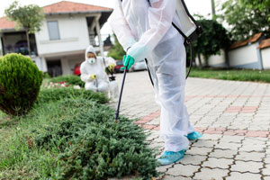 It's important to receive annual termite treatment. Heron provides annual inspections in Florida.