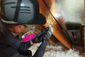 Heron's termite technician protecting a Florida residents home by investigating their wooden planks.
