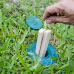 A person's hand inserts two wooden bait stakes into a circular green termite monitoring station embedded in a lush green lawn.