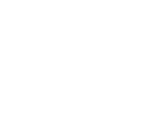 property damage icon