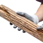 Person holding a wooden log pointing to visible wood damage from termies