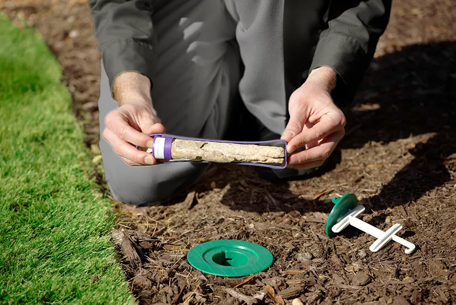 Pest control technician showing termite bait in a termite station