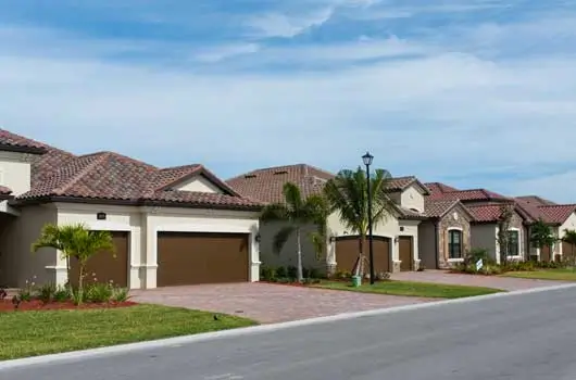 Ant Exterminators – Control – Removal