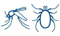 Mosquito & Tick icons.