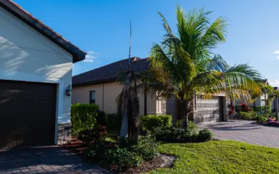 palm tree too close to florida house