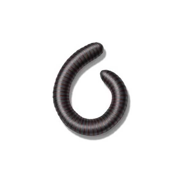 millipedes