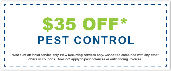Heron Pest Control Coupons and Specials Orlando FL Heron Pest Control Coupons and Specials Orlando FL