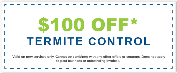 Heron Pest Control Termite Coupons and Specials Orlando FL Heron Pest Control Termite Coupons and Specials Orlando FL