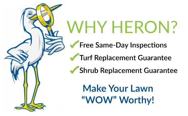 Reasons to choose Heron Home & Outdoor for your lawn, shrub and tree care.