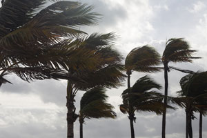 Hurricane safety tips and pest prvention tips for central FL and Orlando residents. Heron Home & Outdoor