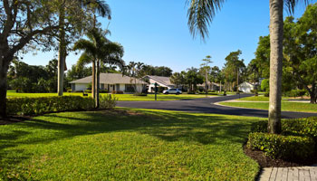 Learn how to keep your Orlando FL or Apopka FL lawn looking its best in the fall and winter months - Heron Home & Outdoor