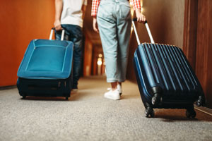 How to prevent bed bugs in your suitcases or hotels during the holidays - Heron Home & Outdoor in Orlando FL and Apopka FL