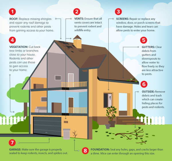 Rodent control checklist for your Orlando or Apopka FL home this winter - Heron Home & Outdoor